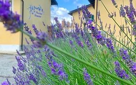 Cascina Domina
